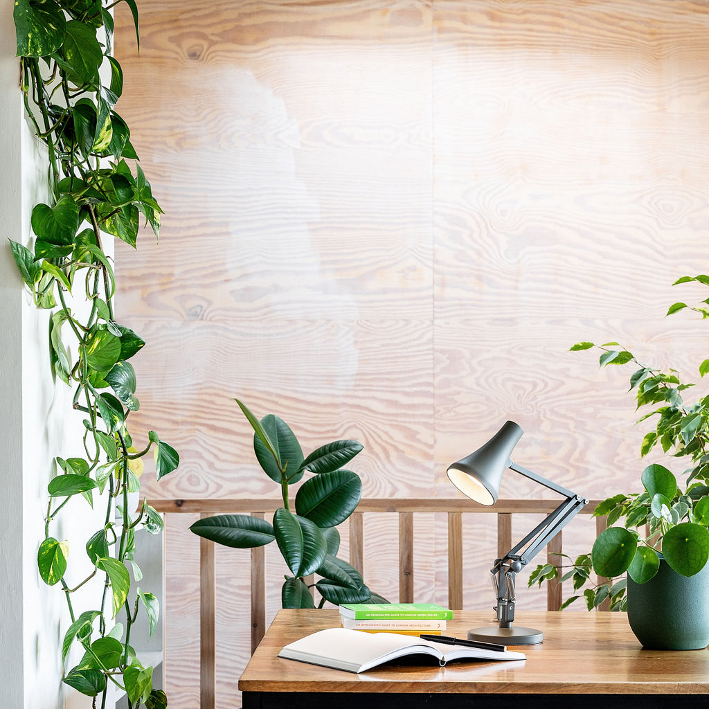 Why are houseplants good for you?