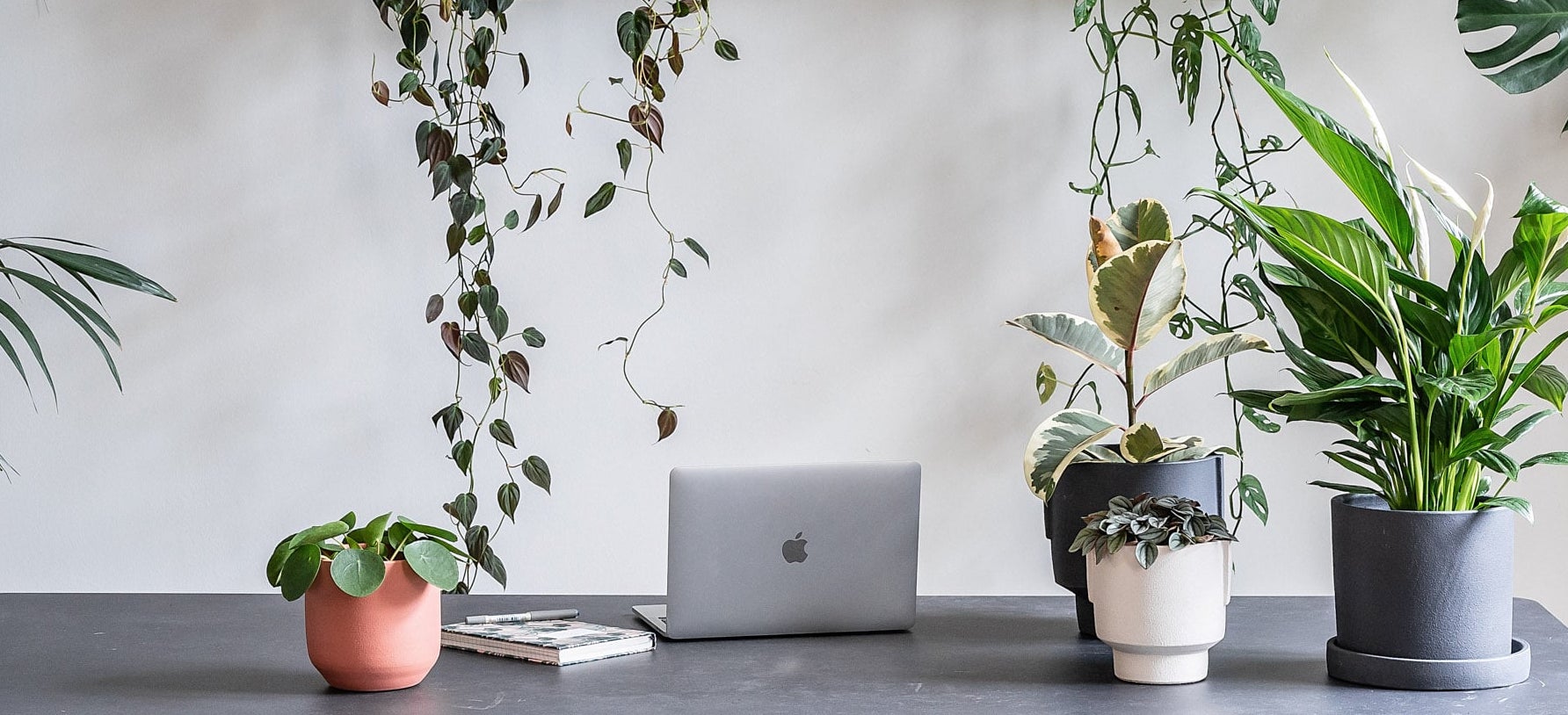 Heading back to the office? - Leaf Envy