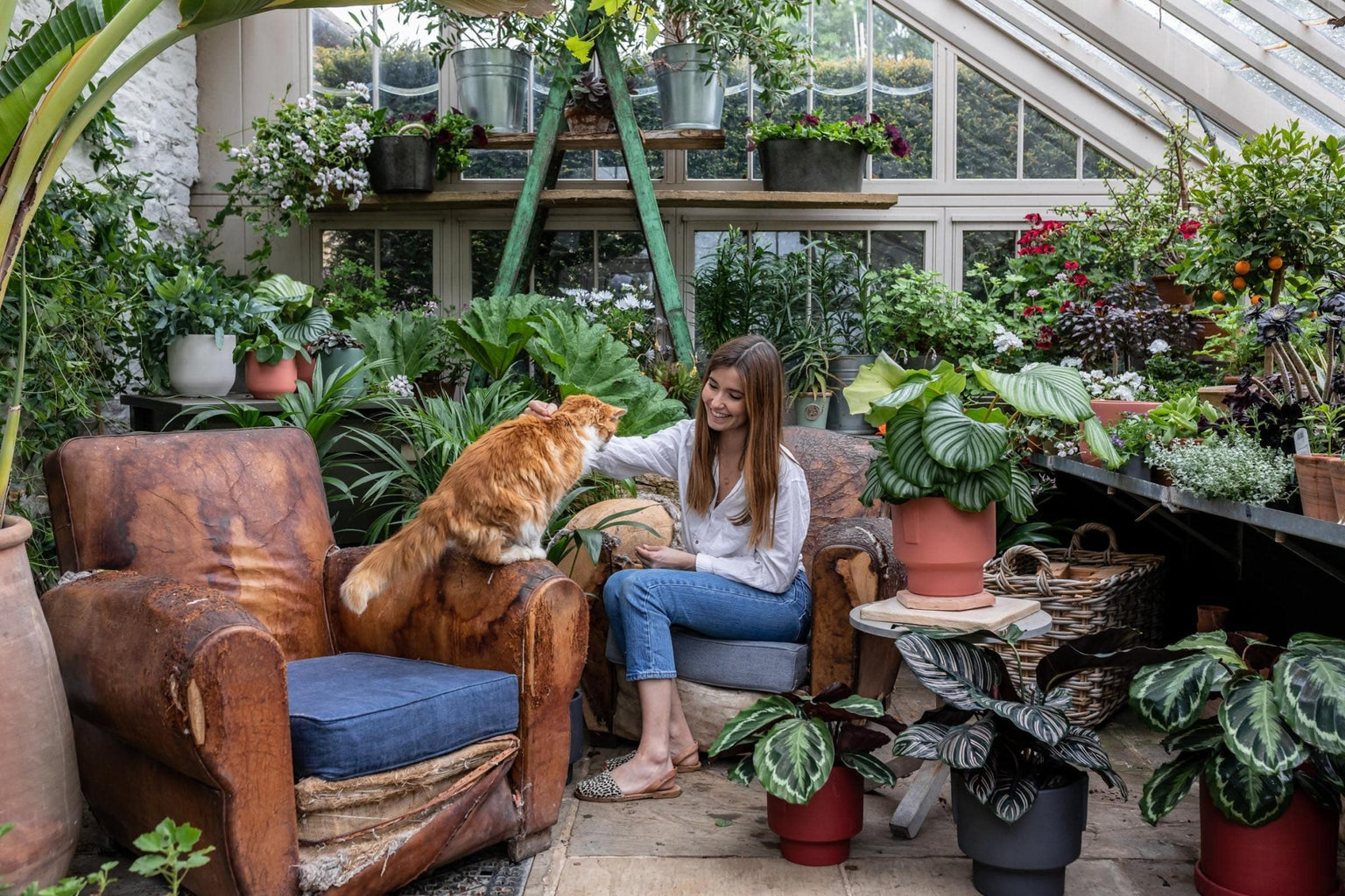 How to keep your pets away from your houseplants - Leaf Envy
