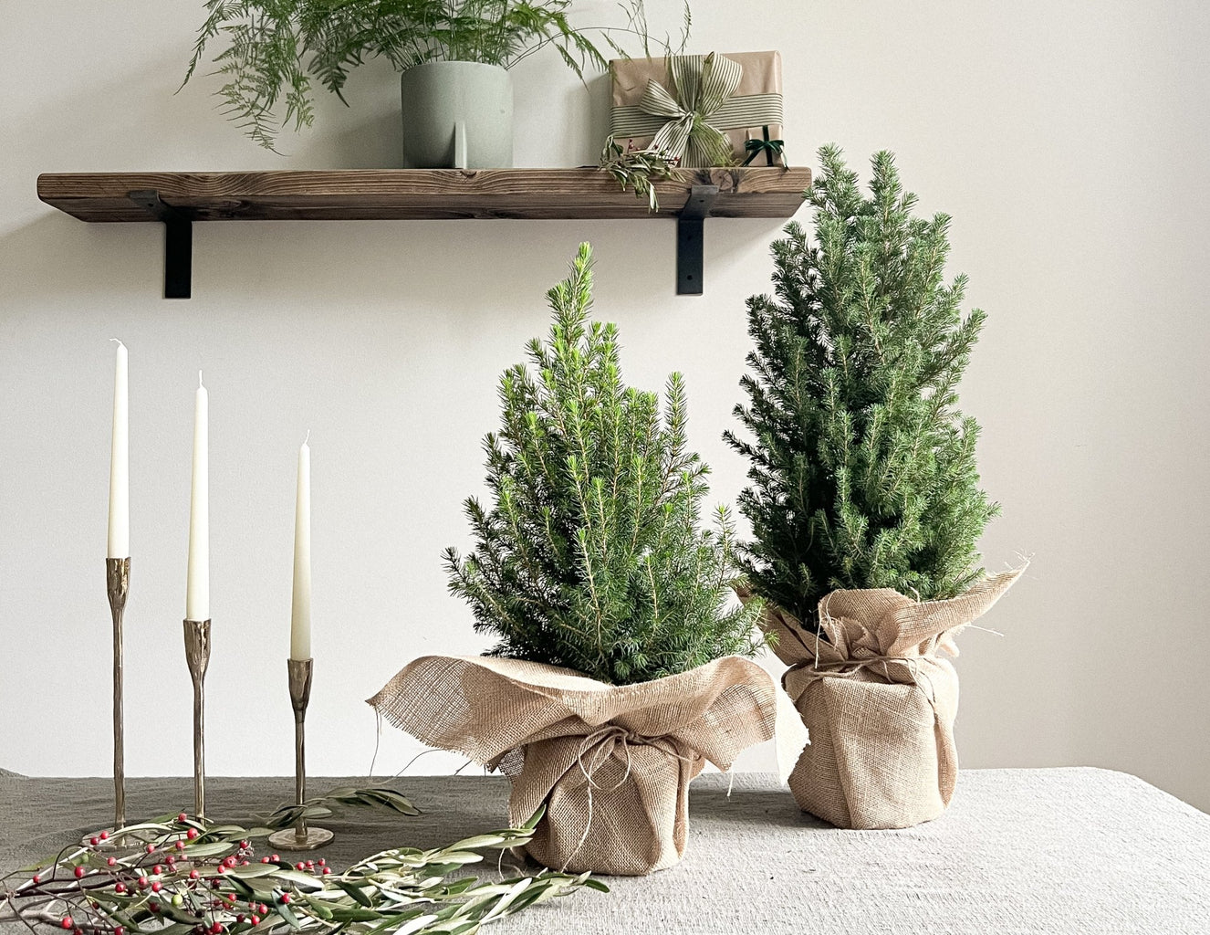 How to recycle your Christmas Tree - Leaf Envy