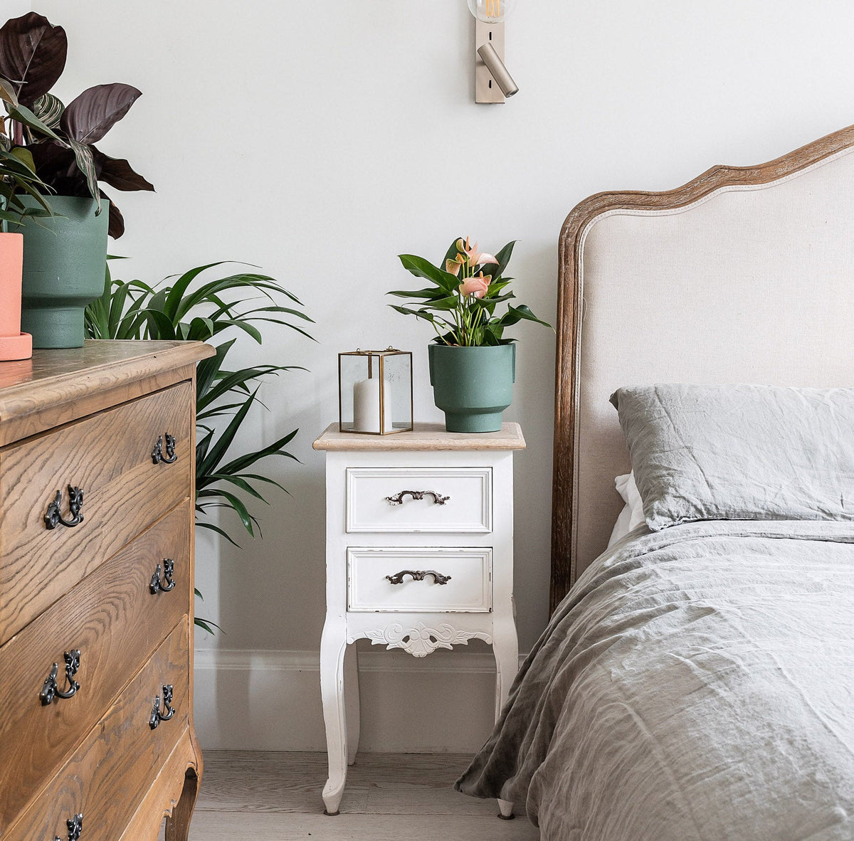 Best bedside clearance table plants