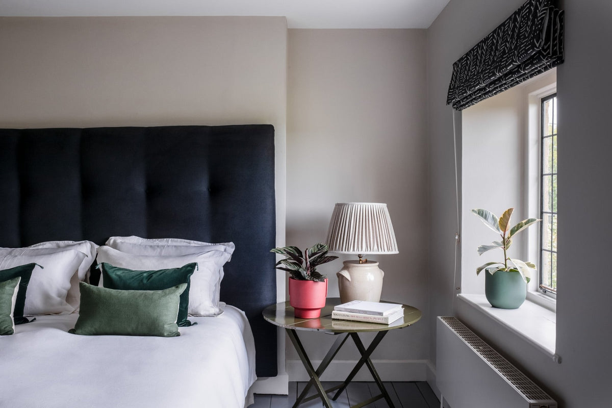 Winter Plant Care Tips Leaf Envy winter-plant-care-tips-leaf-envy