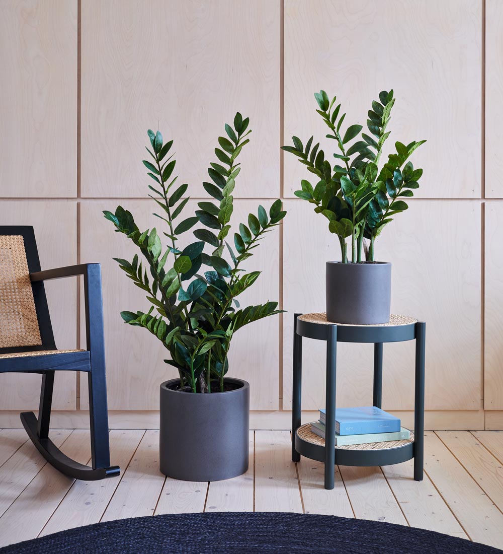 artificial zz plant Artificial ZZ Plant