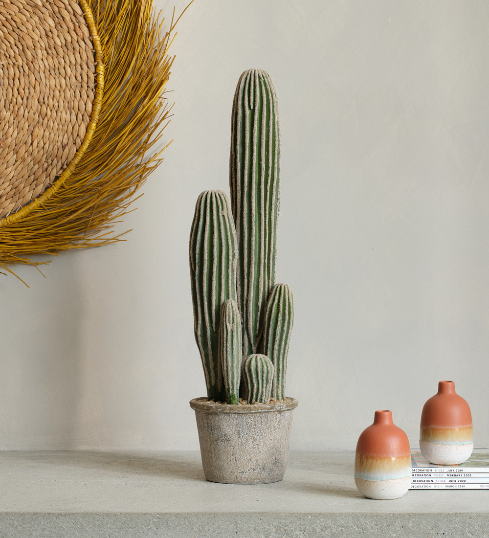san pedro cactus for sale uk Artificial San Pedro Cactus