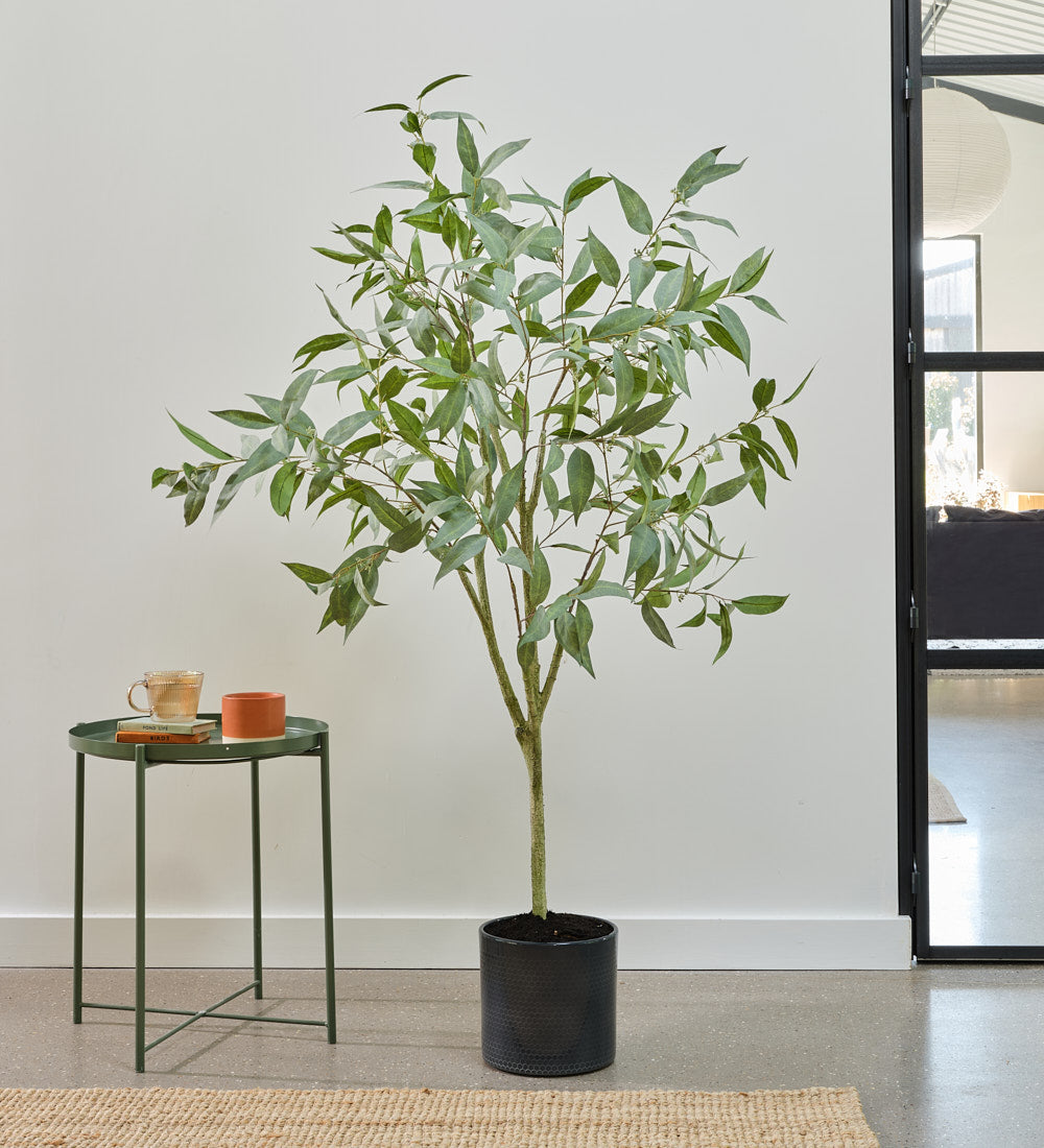 eucalyptus plant uk indoor Artificial Eucalyptus Globulus Tree