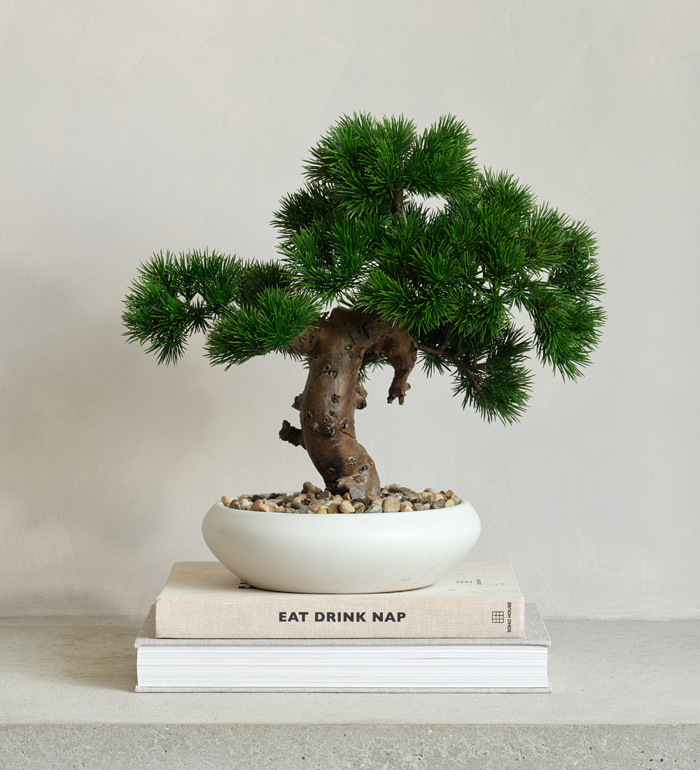 artificial bonsai tree uk Artificial Bonsai