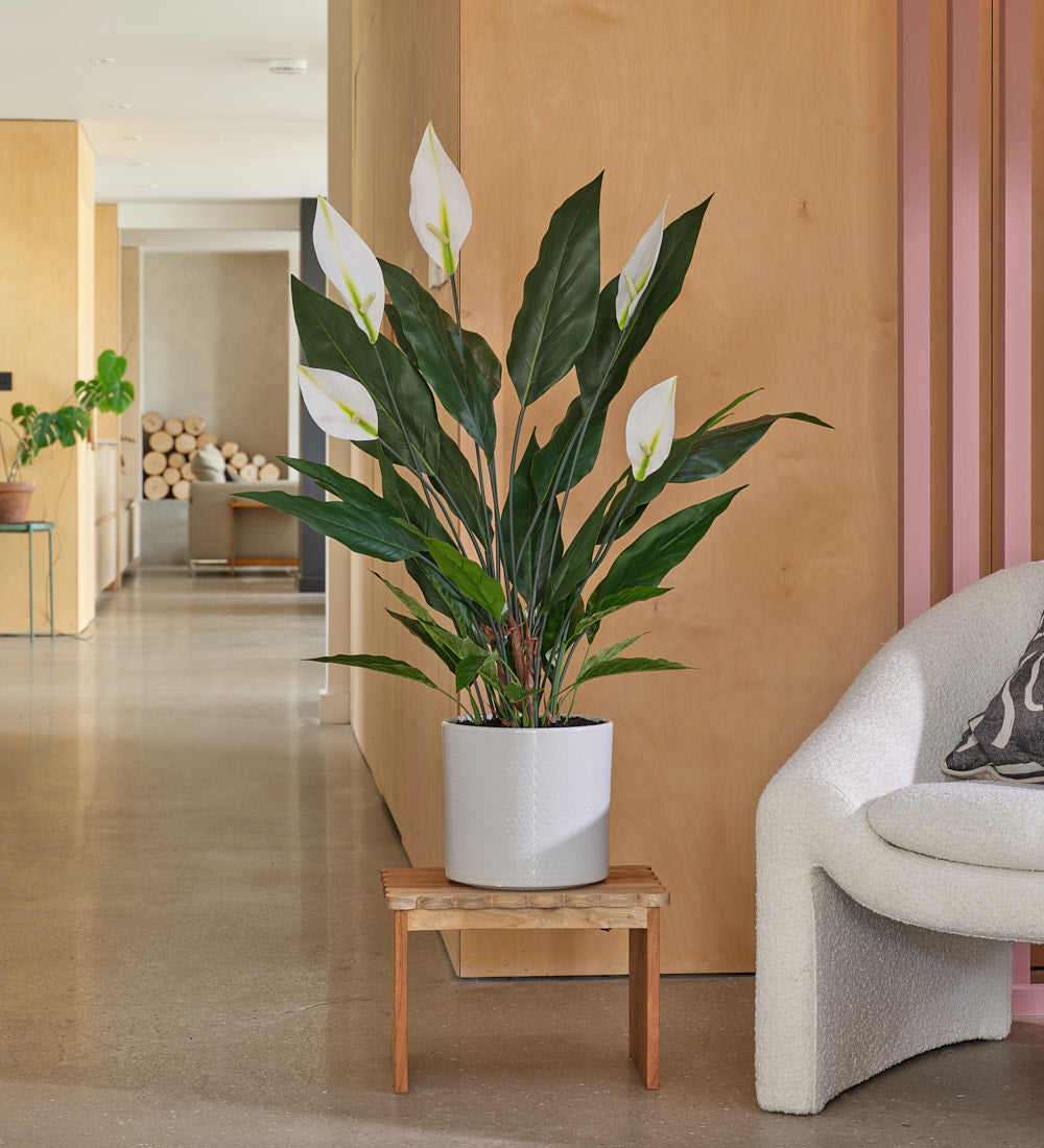 artificial peace lily uk Artificial Peace Lily