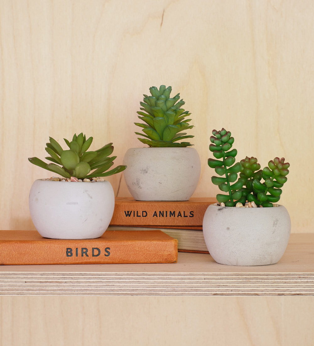 succulent pots uk Artificial Mini Succulent & Pot