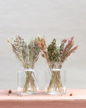 Display Vase - Leaf Envy