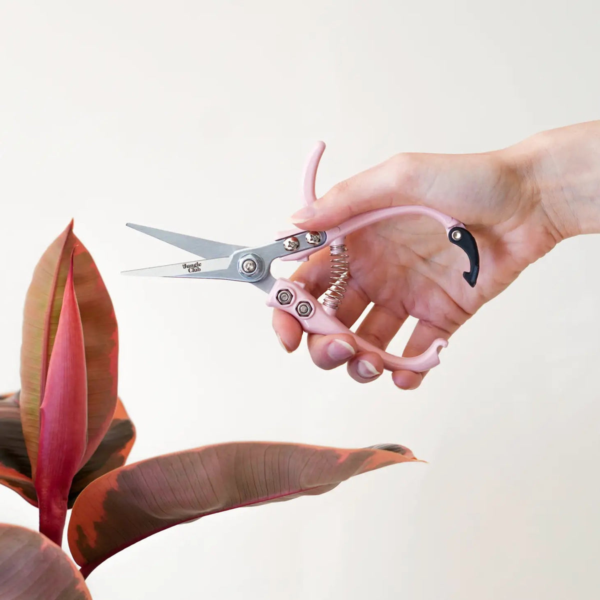 Pruning Shears Pink Indoor Plant Pruners Houseplant Care