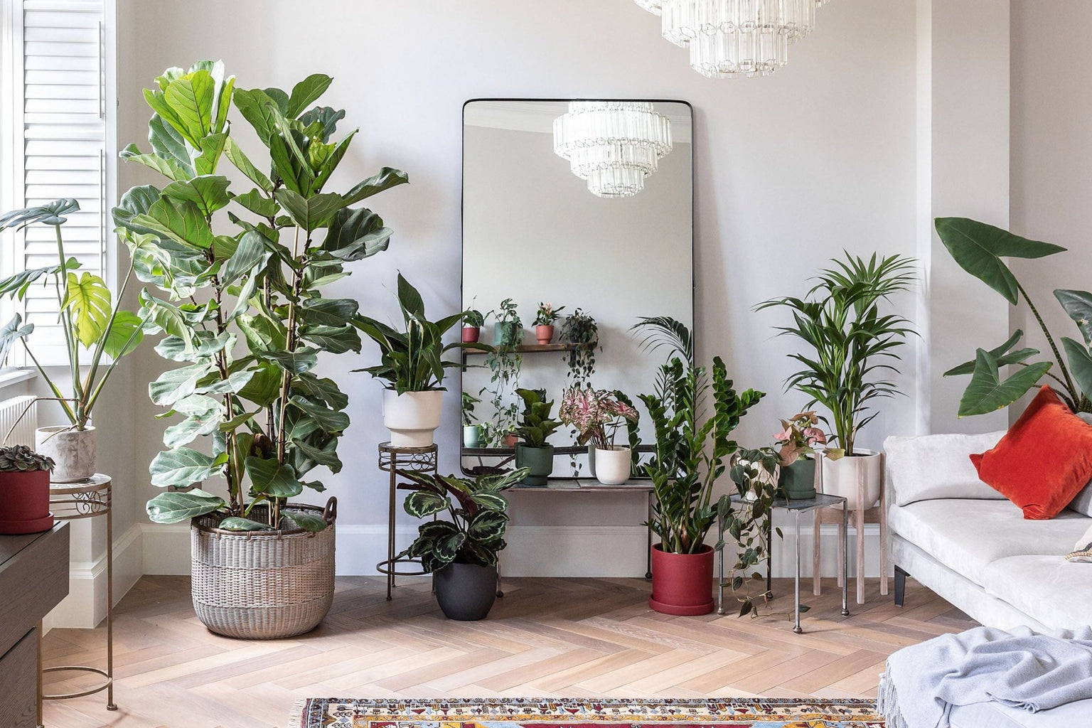 5 reasons why you should style your home with plants - Leaf Envy