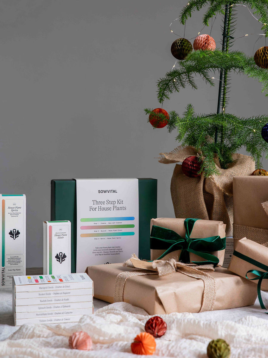 The Best Christmas Gifts for Plant Lovers Leaf Envy