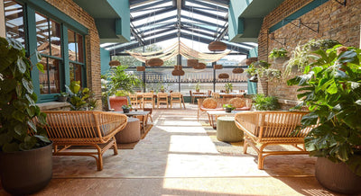 B_Together Members Club Interior Plant Design Project