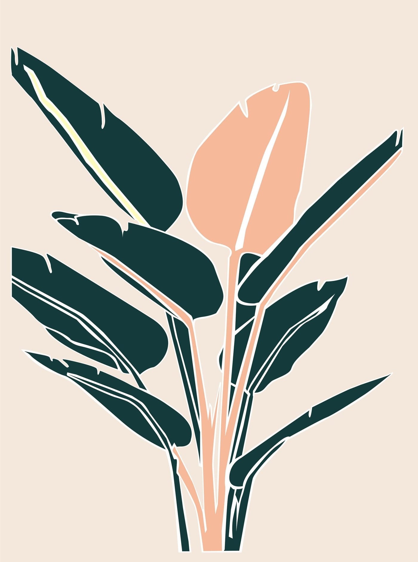 Bird of Paradise - Leaf Envy