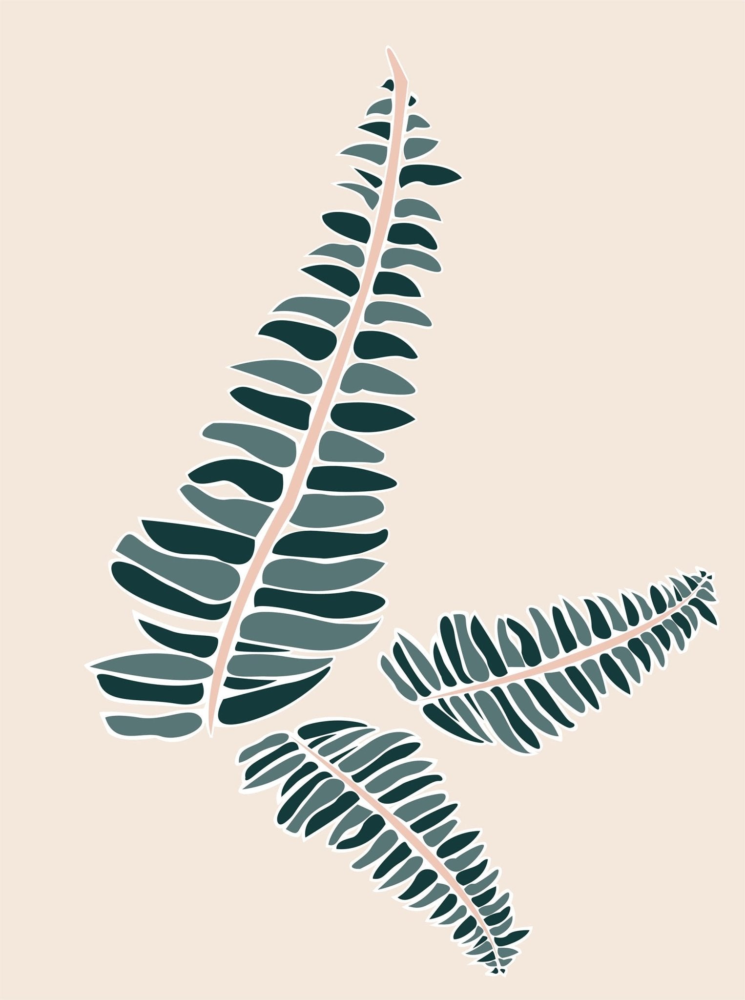 Boston Fern - Leaf Envy