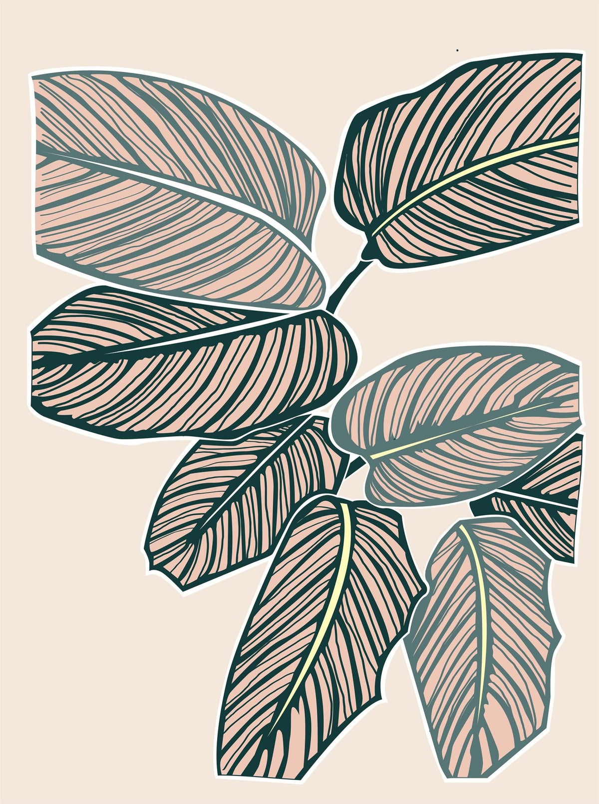 Calathea