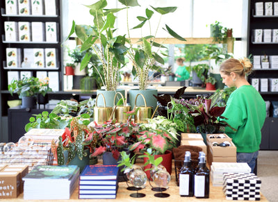 Design Museum Shop x Leaf Envy