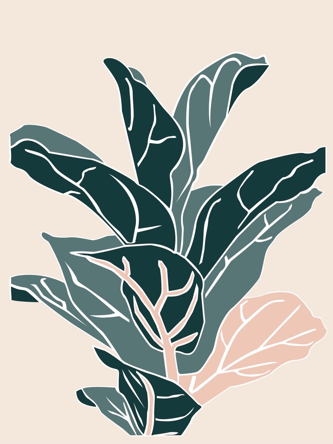 Fiddle Leaf Fig - Leaf Envy