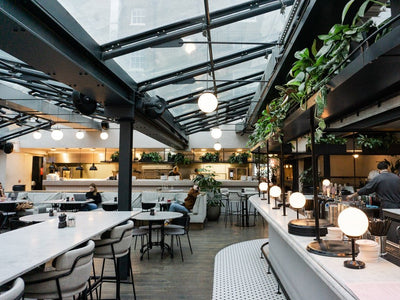 Grind Coffee Interior Plant Design Project