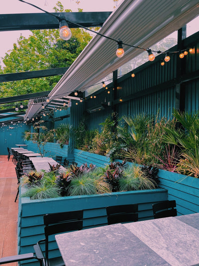 Grind Coffee Outdoor Plant Design Project