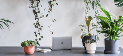Heading back to the office?