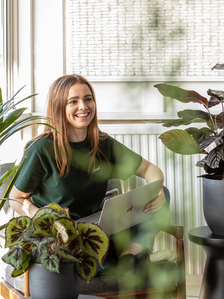 House Plants by Post - Leaf Envy