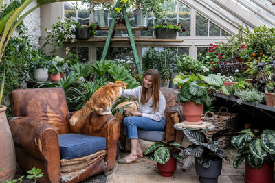 How to keep your pets away from your houseplants