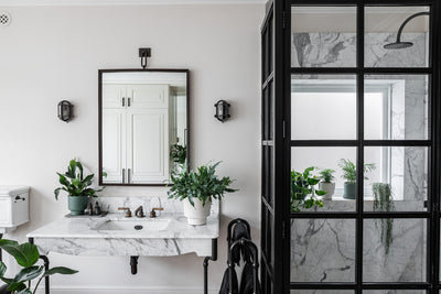 How to Move House with House Plants