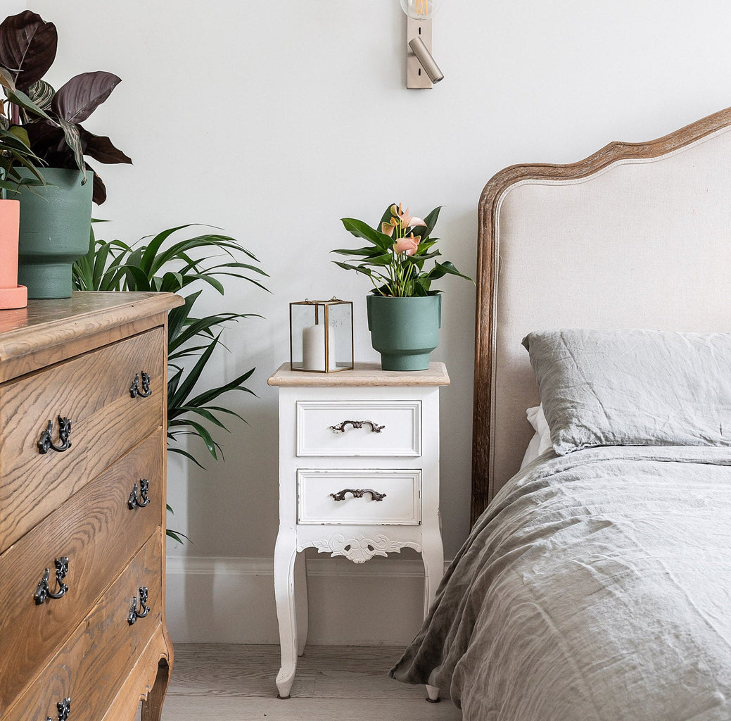 Is it OK to Sleep with Plants in Your Bedroom? - Leaf Envy