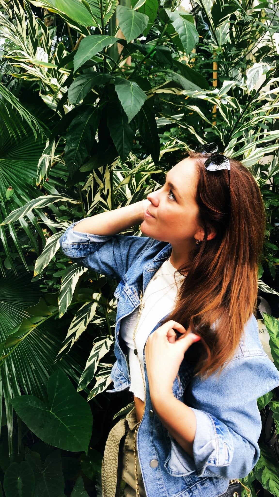 Leaf Envy team's best botanical gardens from around the world - Leaf Envy