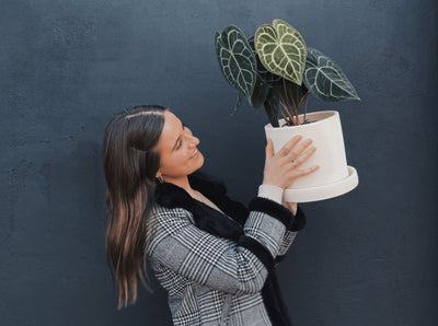 Meet our Design & Development Lead
