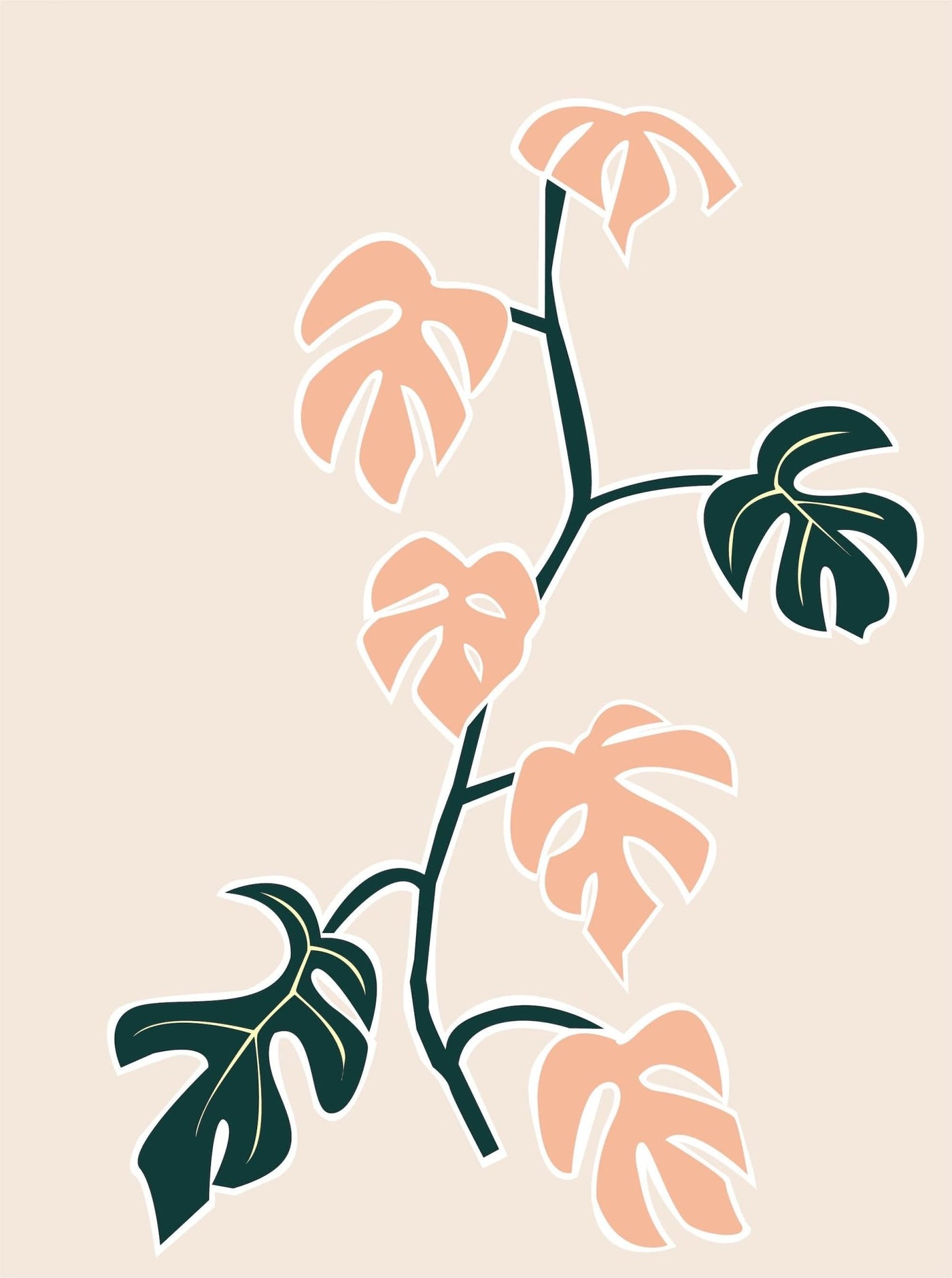 Mini Monstera - Leaf Envy
