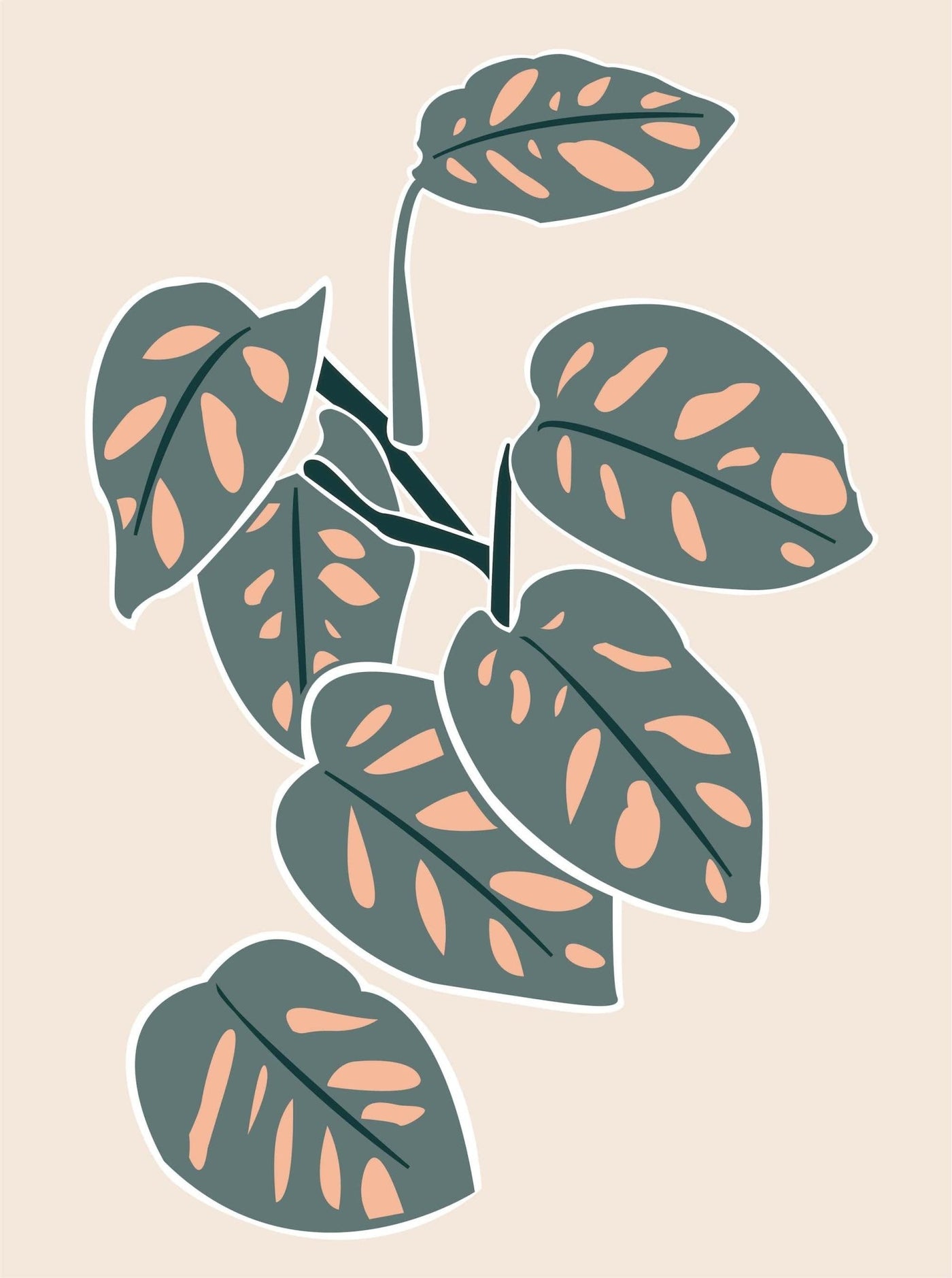 Monkey Mask Monstera - Leaf Envy