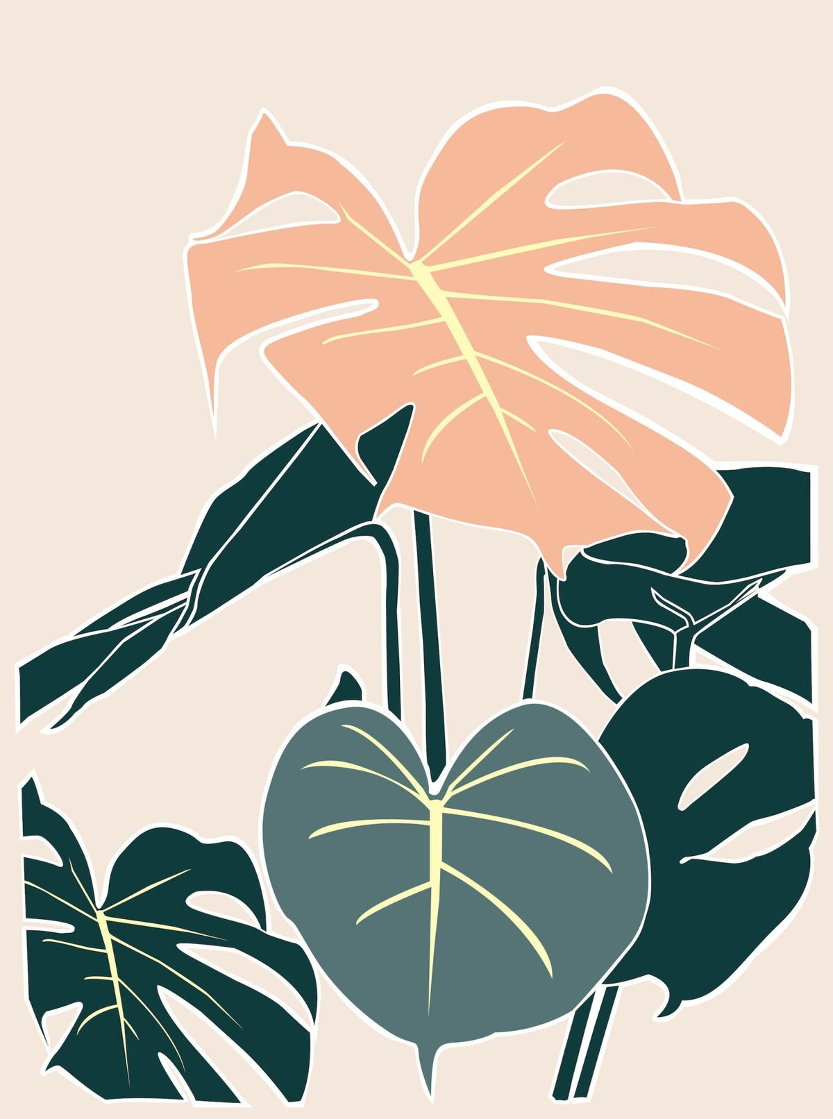 Monstera Deliciosa