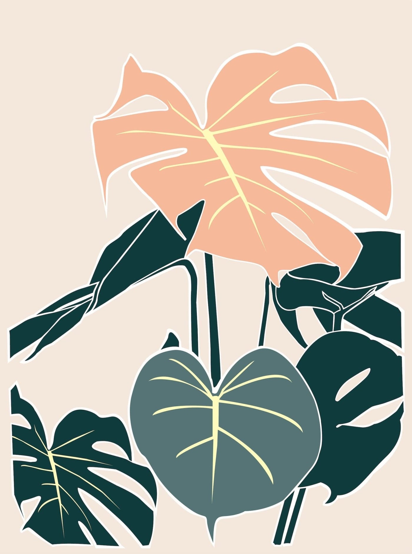 Monstera Deliciosa - Leaf Envy