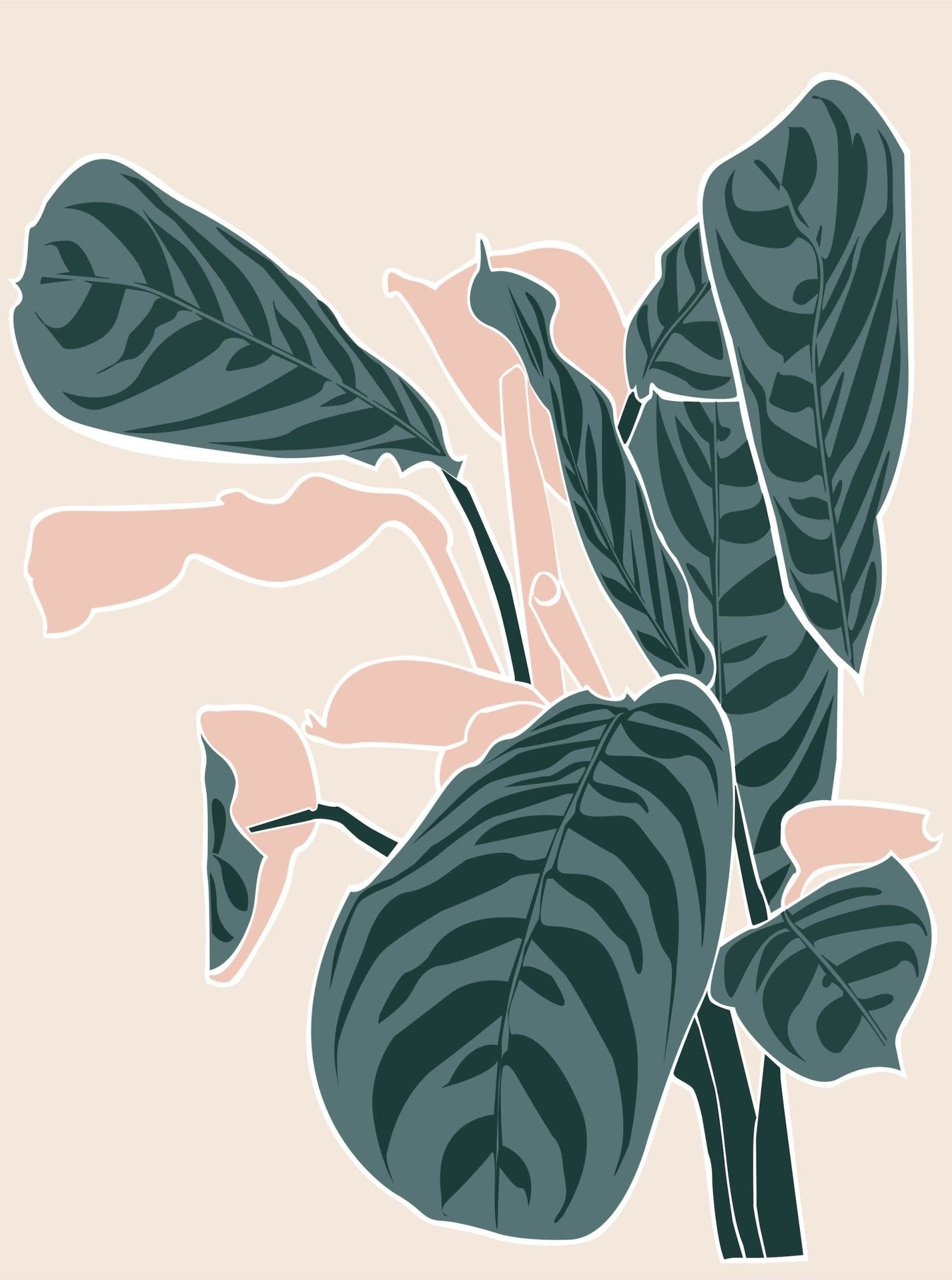 Never Never Plant - Leaf Envy