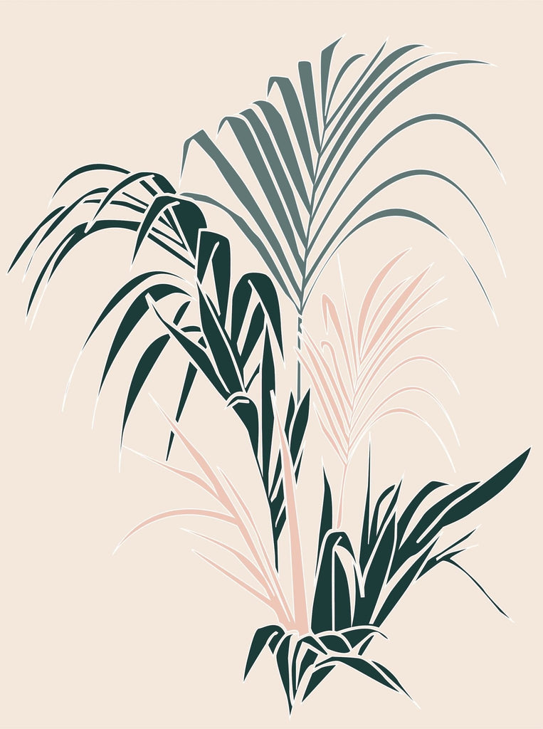 Parlor Palm - Leaf Envy