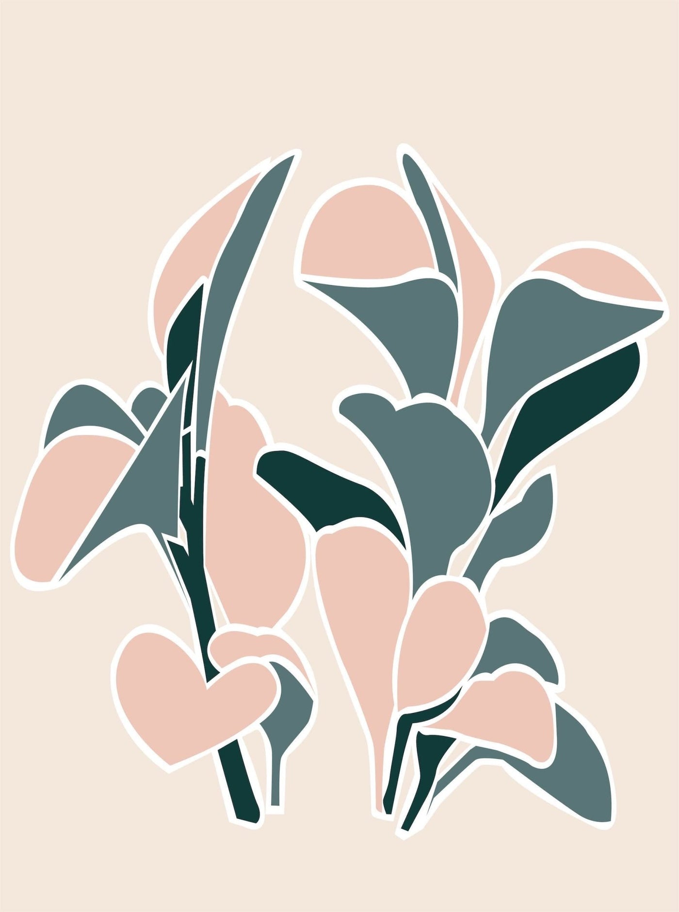 Peperomia - Leaf Envy