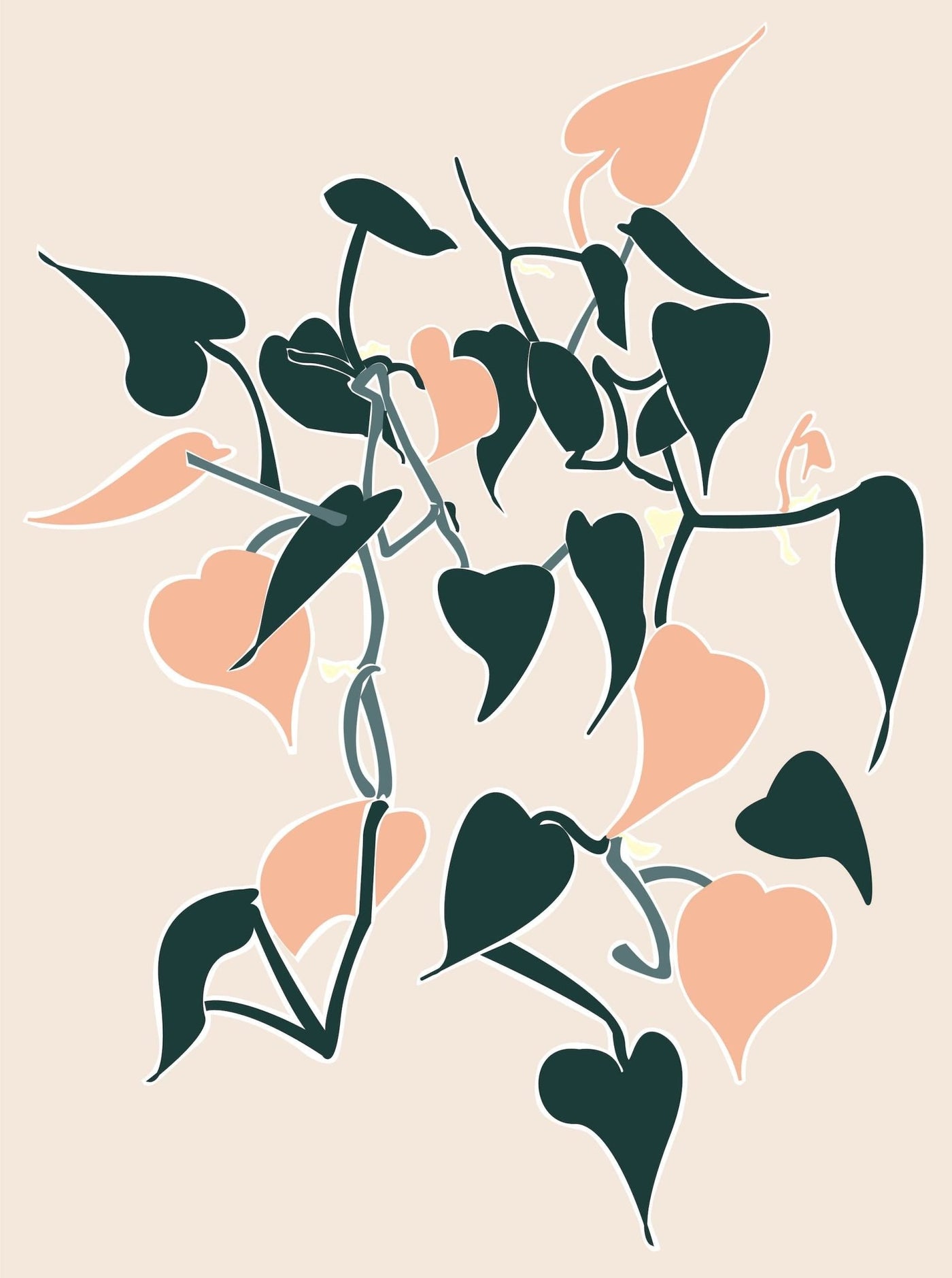 Philodendron Scandens - Leaf Envy
