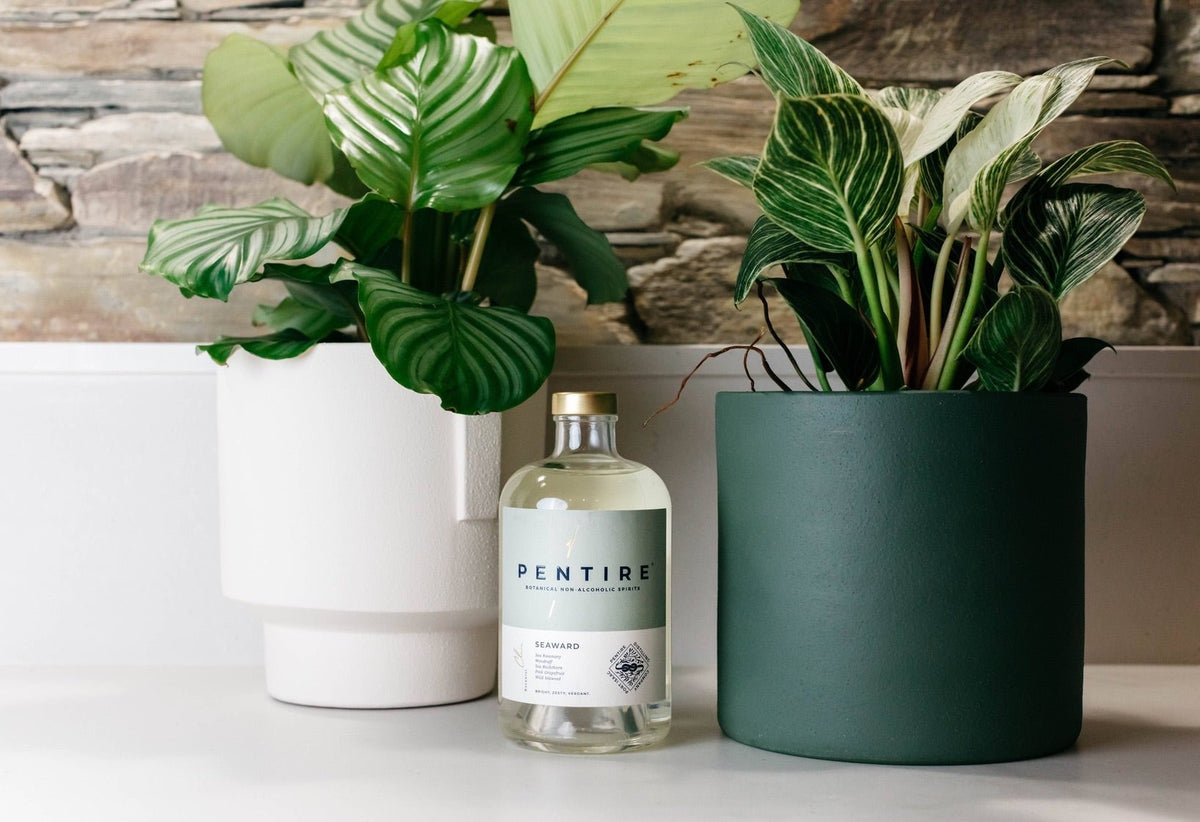 Q&A with Alistair Frost, Founder of Pentire