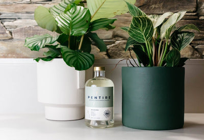Q&A with Alistair Frost, Founder of Pentire