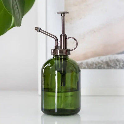 Should I Spray My Indoor Houseplants With Water?