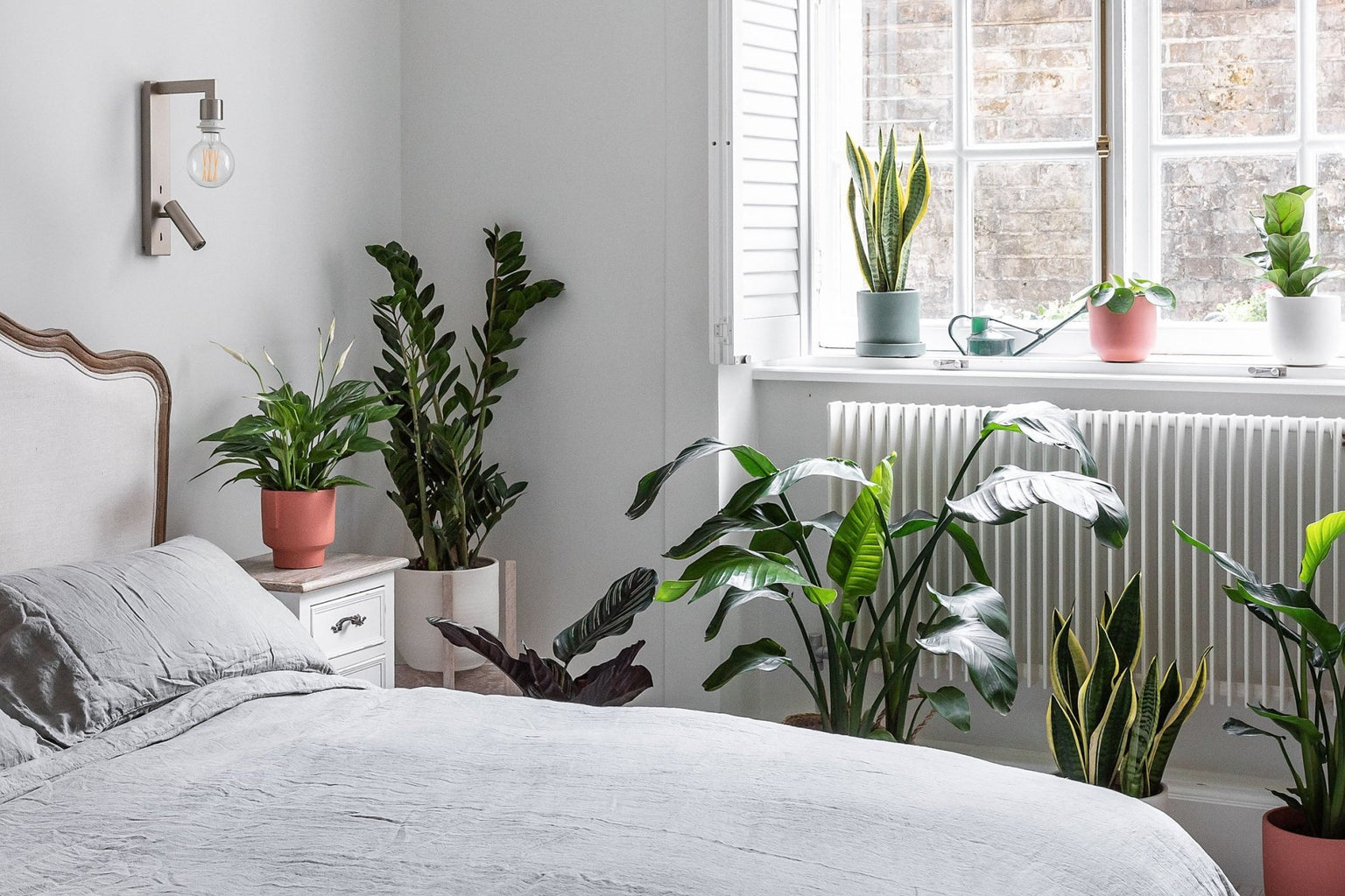 The best bedroom plants to boost your R&R - Leaf Envy