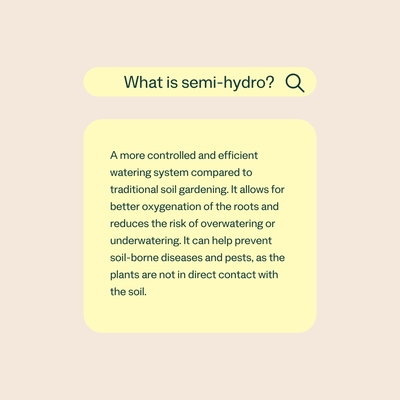What is a Semi-Hydro Plant Display?