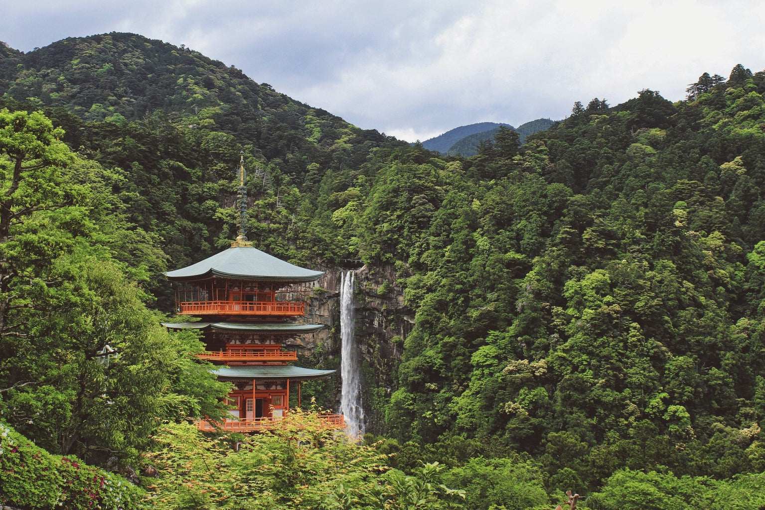 Why Japanese culture loves all things Mother Nature - Leaf Envy