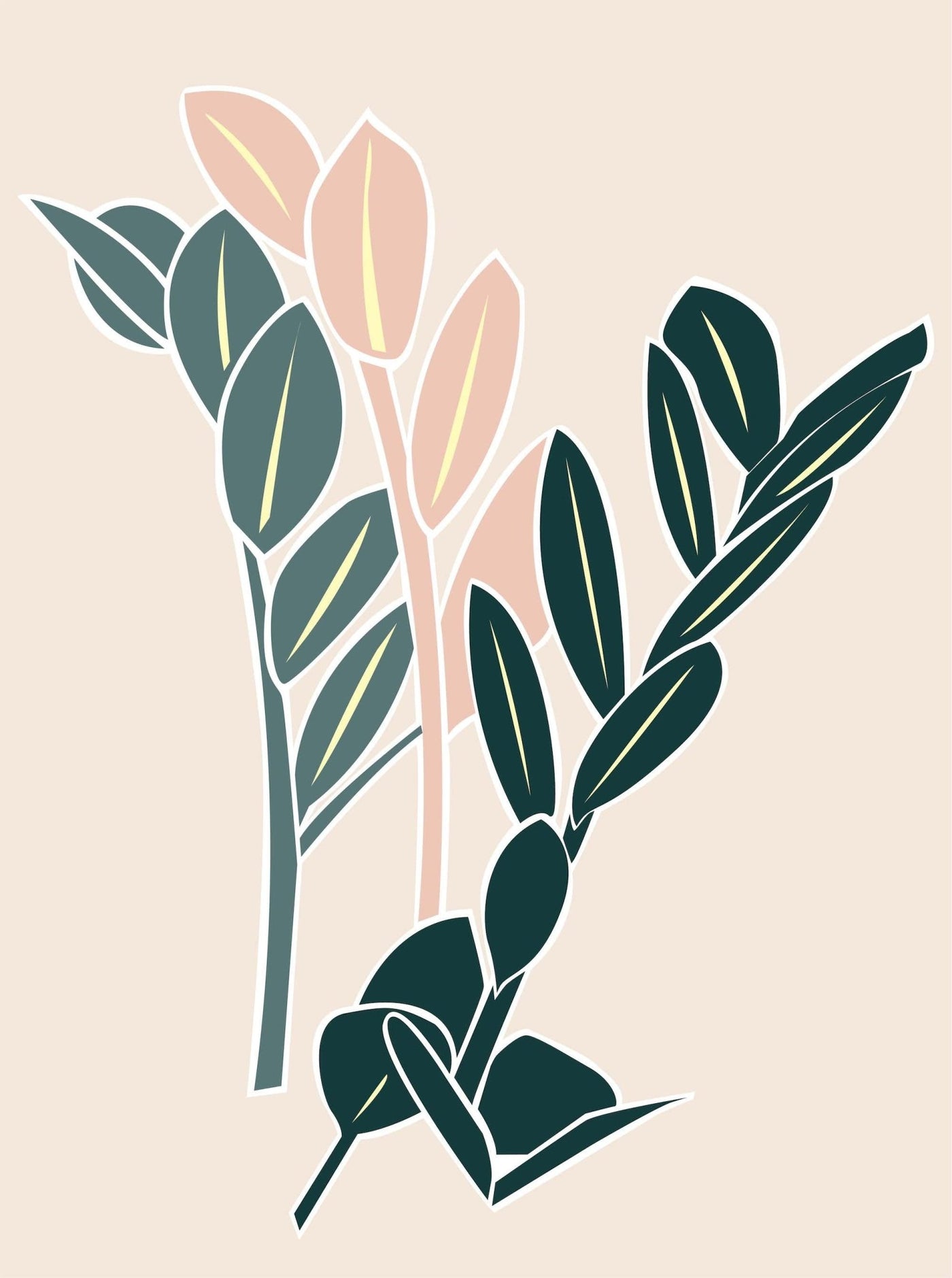 ZZ Plant - Leaf Envy