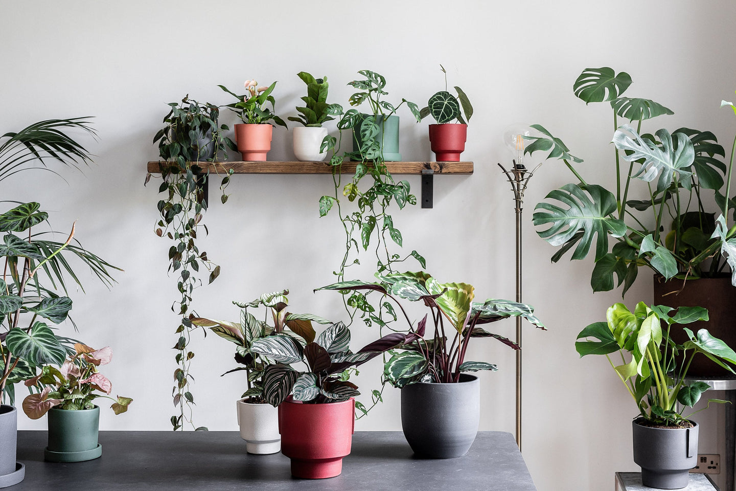 Artificial Plants