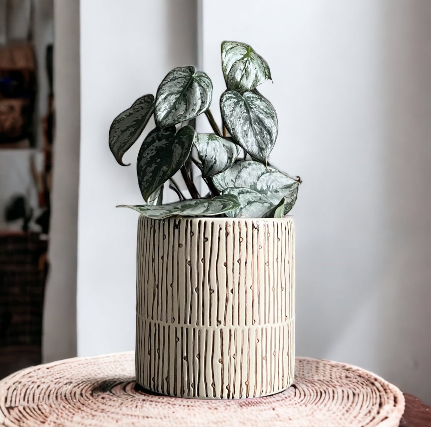 Get 30% Off Select Planters