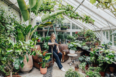 Beth's Favourite Plants - Leaf Envy
