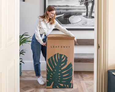 Bundles | Buy Indoor Plants Online | Leaf Envy